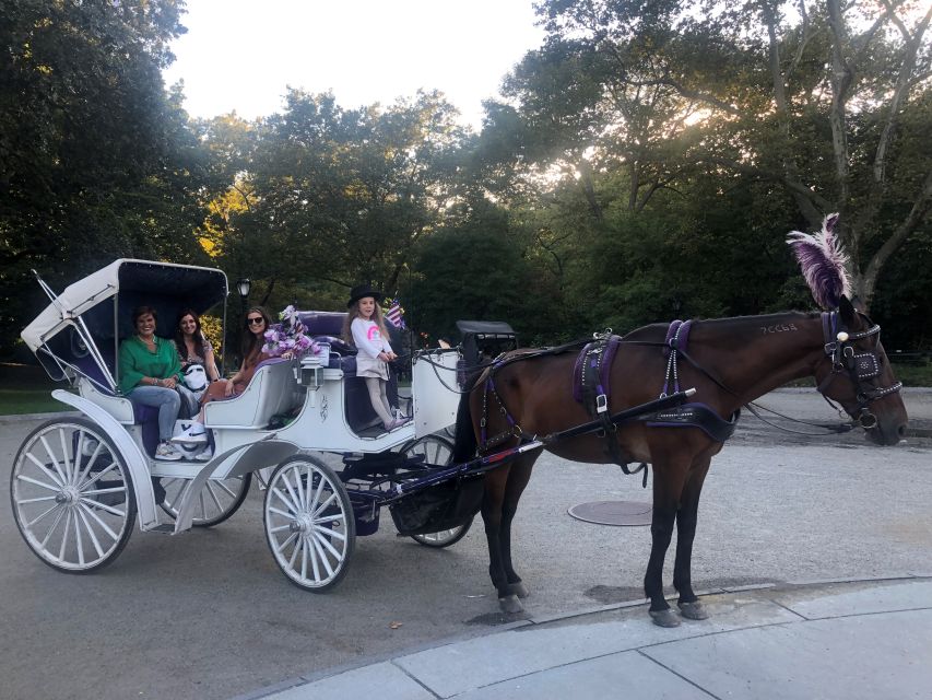 New York: Carriage Ride in Central Park - Who this Central Park carriage ride is best for