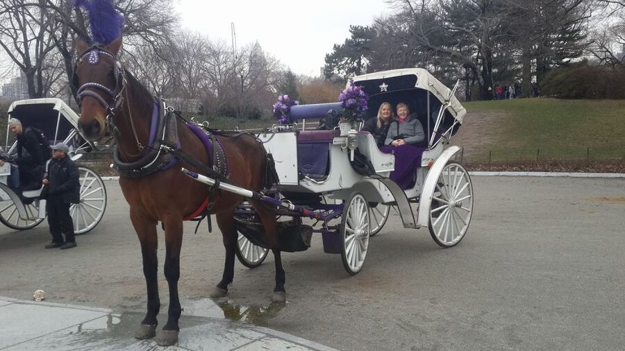 New York: Carriage Ride in Central Park - Should you book this Central Park carriage ride?