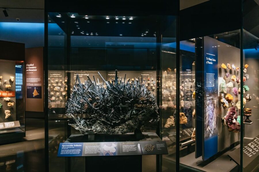 New York City: American Museum of Natural History Ticket - Amenities, Crowds, and Comfort Breaks That Save the Day