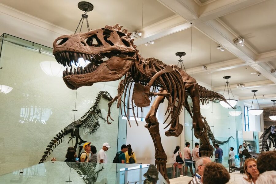 New York City: American Museum of Natural History Ticket - Fast Entry Wins: Barcode, WiFi, and the Explorer App
