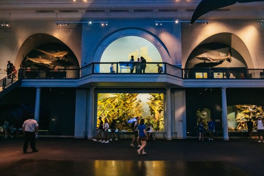New York City: American Museum of Natural History Ticket - Optional Big Ticket Shows: Which Ones Are Worth Selecting?