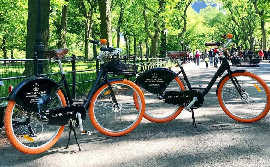 New York City: Best of Central Park Bike Tour - What the Tour Feels Like on the Bike