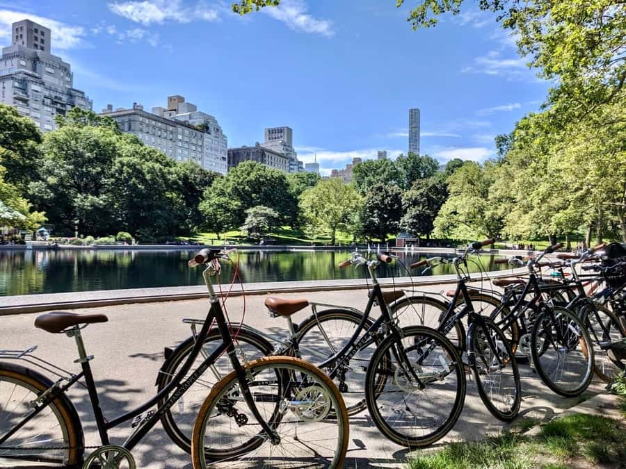 New York City: Best of Central Park Bike Tour - Stop-by-Stop: The Central Park Highlights You Will See