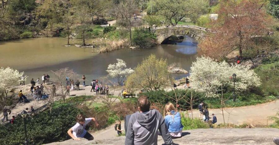 New York City: Central Park Highlights Walking Tour - Olmsted and Vaux: the design lesson hiding in plain sight