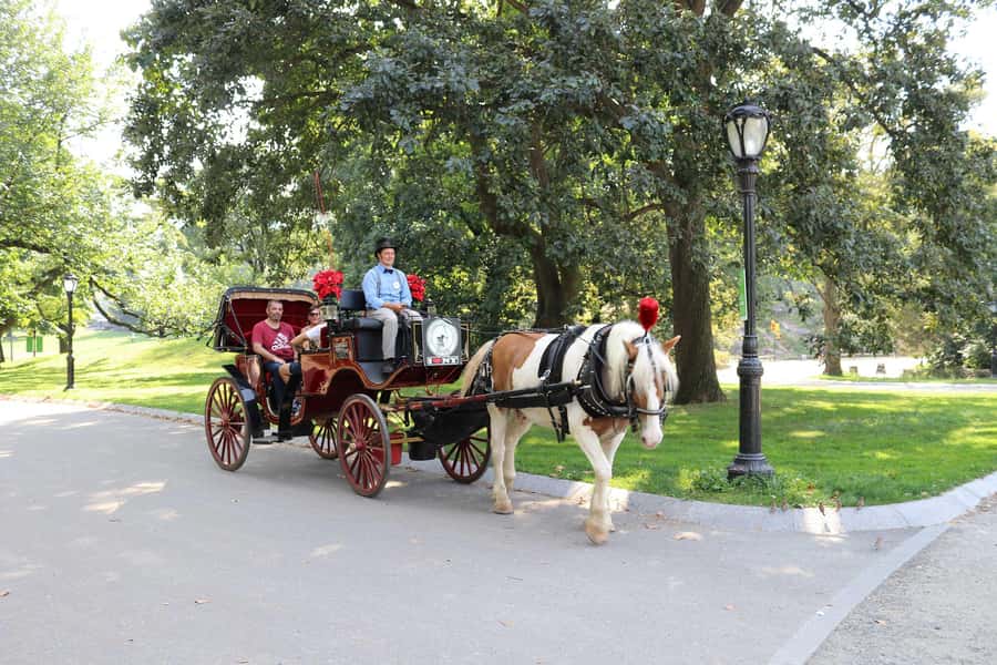 New York City: Central Park Horse Carriage 25-min Ride - Finding the right carriage at West Drive (NYC Horse Carriage Rides EST.1979)