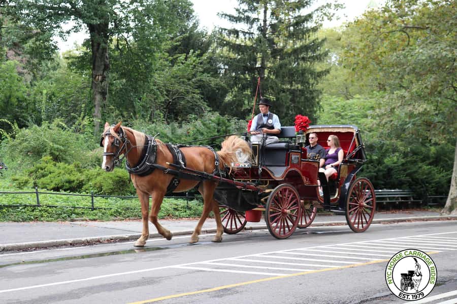 New York City: Central Park Horse Carriage 25-min Ride - The Dairy photo stop: the Victorian cottage moment you will remember