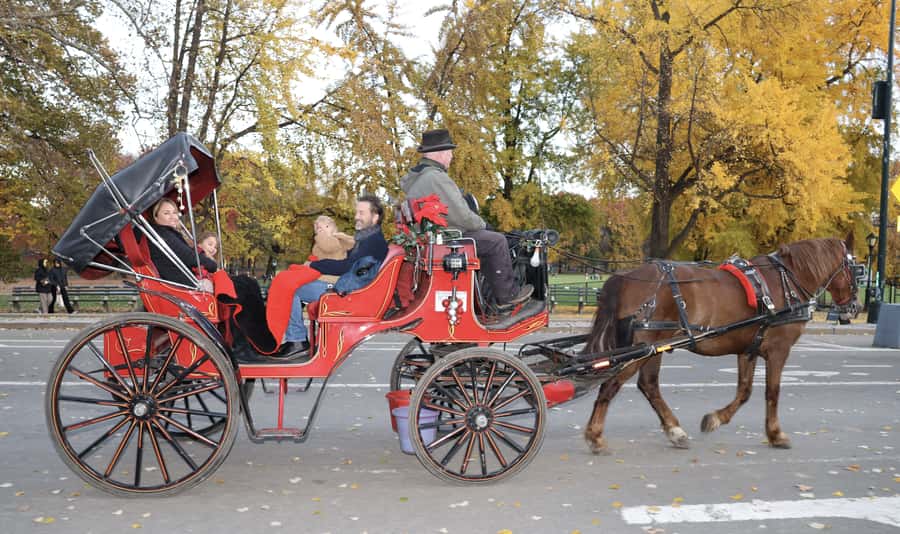 New York City: Central Park Horse Carriage 25-min Ride - Price and value: $75 per group up to 4