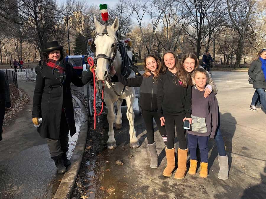 New York City: Central Park Horse Carriage 25-min Ride - Who this Central Park horse carriage ride suits best
