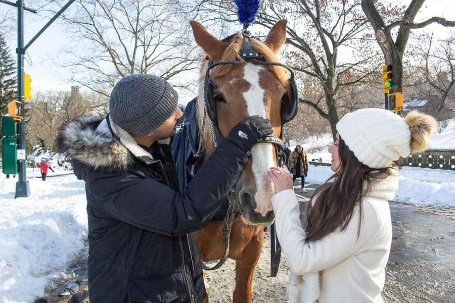 New York City: Central Park Horse Carriage 25-min Ride - Should you book this Central Park horse carriage ride?