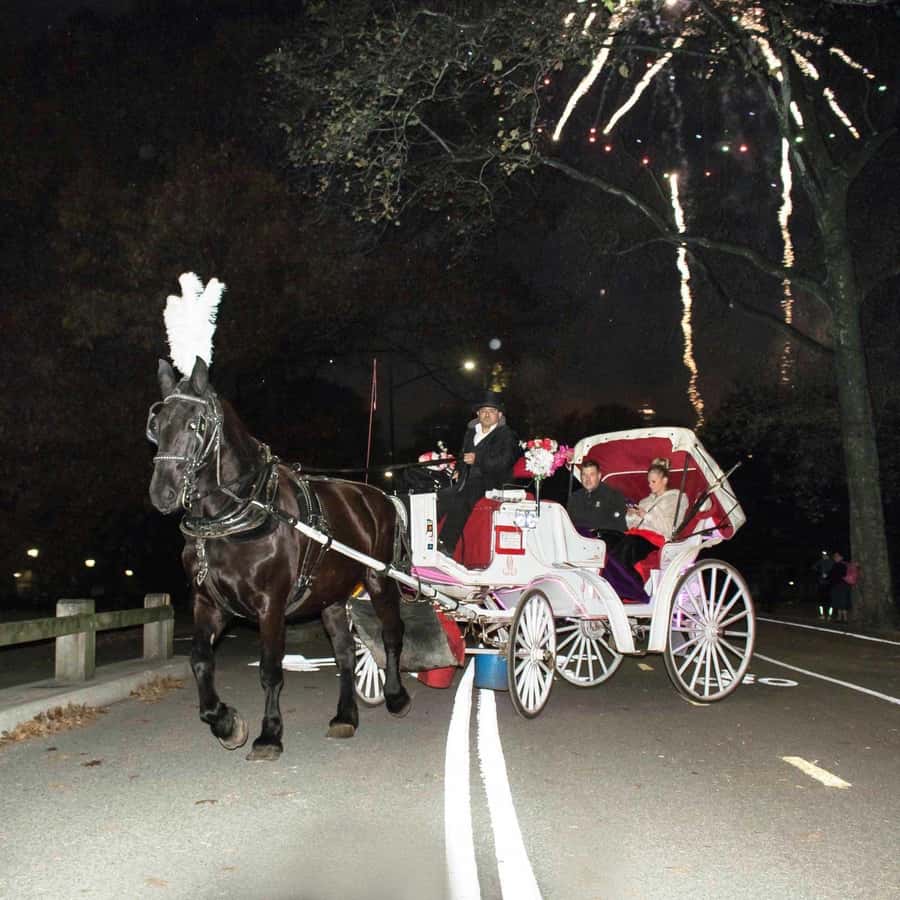 New York City: Central Park Horse Carriage 25-min Ride - FAQ