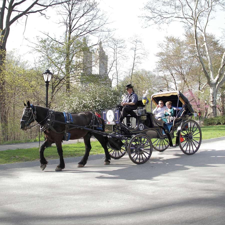 New York City: Central Park Horse Carriage 25-min Ride - The 25-minute highlights: Wollman Rink, Carousel, and Chess at checker time