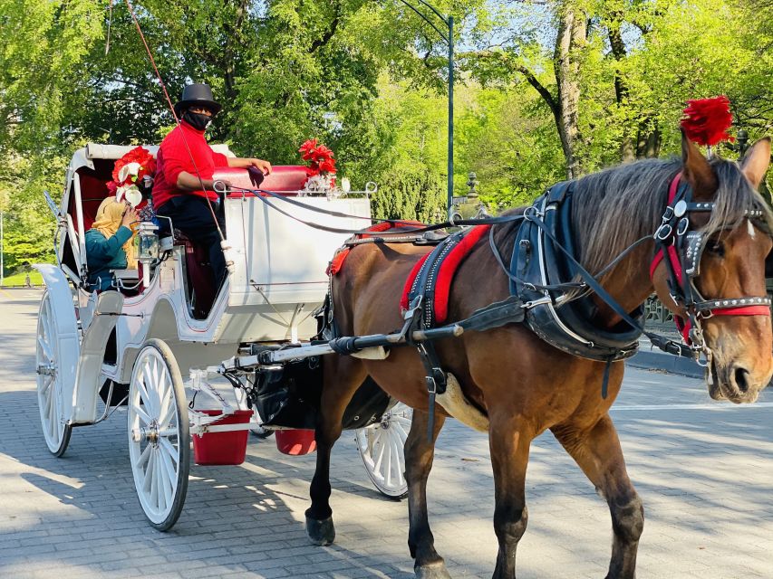 New York City: Central Park Private Horse and Carriage Tour - Why this Central Park carriage tour feels worth your time