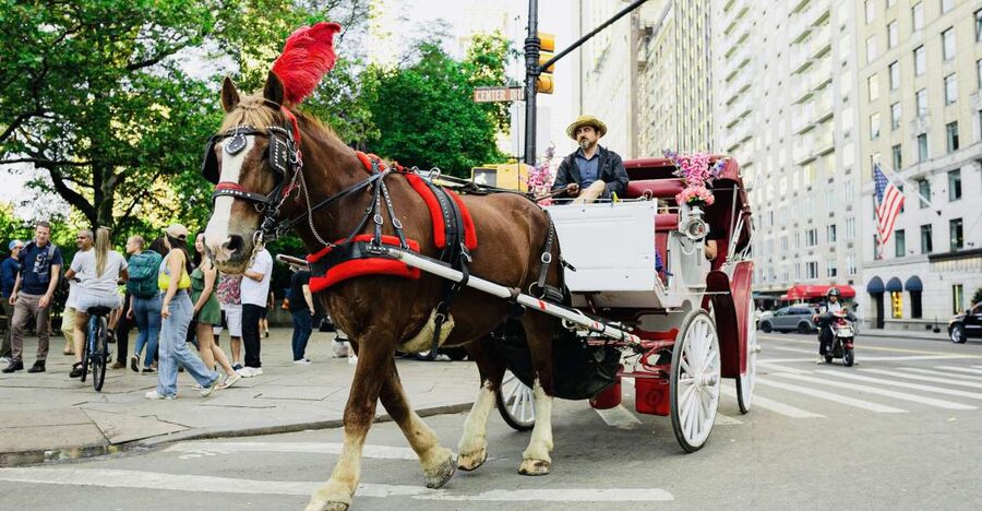 New York City: Central Park Private Horse and Carriage Tour - Getting on quickly: the separate entrance and the private-group flow