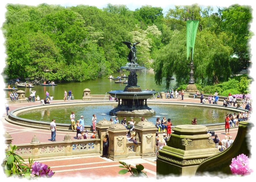 New York City: Central Park Private Horse and Carriage Tour - Movie magic at the Plaza Hotel area (and why that matters)