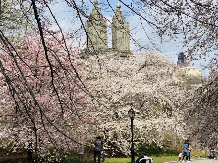 New York City: Central Park Private Horse and Carriage Tour - Price and value: $188 per group up to 4