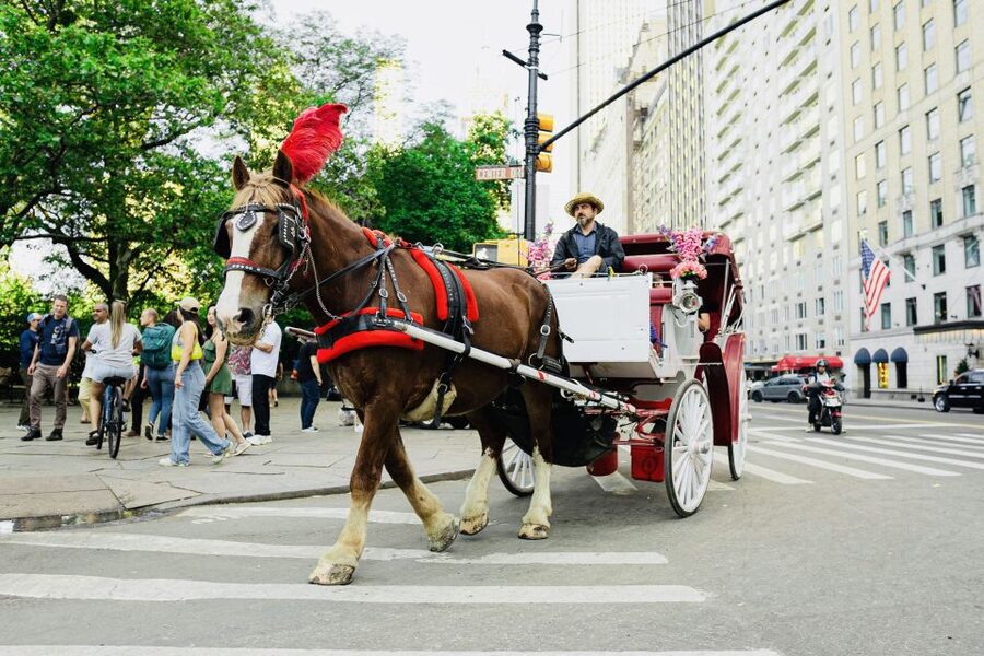 New York City: Central Park Private Horse and Carriage Tour - The route and timing: from José Julián Martí Statue to the south end