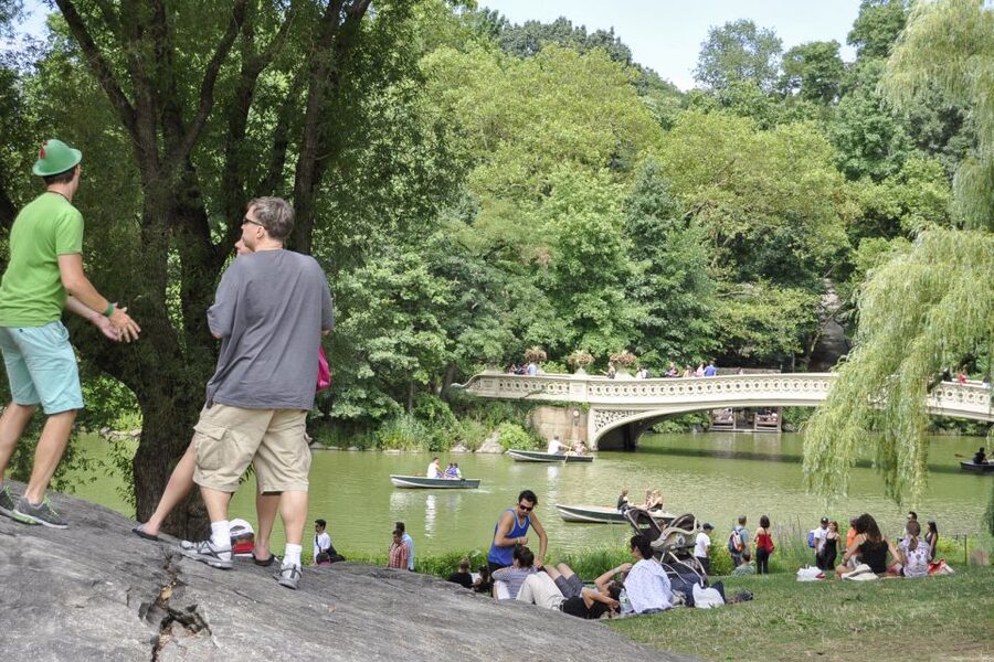 New York City: Central Park Private Pedicab Tour - Meeting point and first 10 minutes: finding the right Starbucks