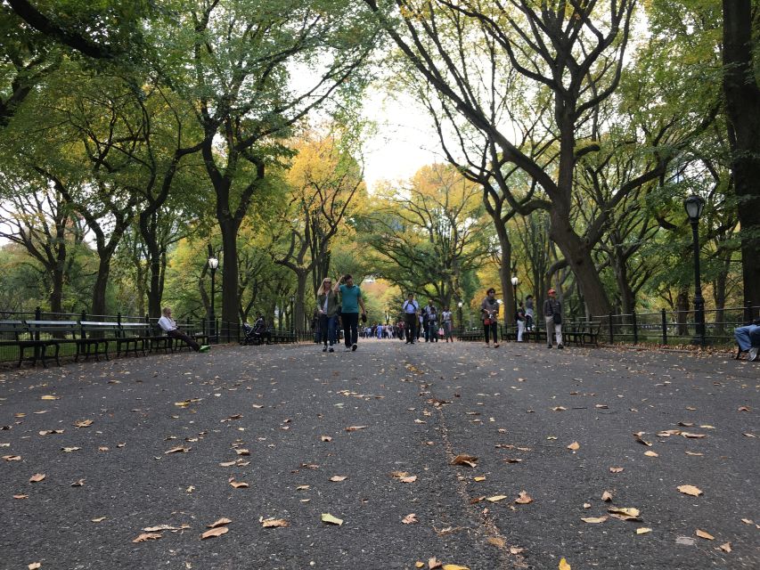 New York City: Central Park Tour by Pedicab - How the guide changes the whole experience (especially for photos)