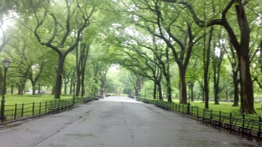 New York City: Central Park Walking Tour - Key things I think you’ll enjoy
