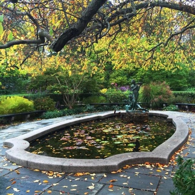 New York City : Central Park Walking Tour With A Guide - Walking and public transport: what’s included, and why pace matters