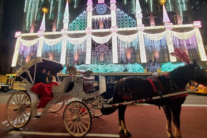 New York City Christmas Lights Private Horse Carriage Ride - Key highlights at a glance