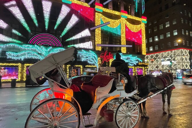 New York City Christmas Lights Private Horse Carriage Ride - A 45 to 50 minute ride that keeps the holiday energy under control