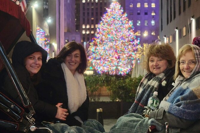 New York City Christmas Lights Private Horse Carriage Ride - 5th Avenue holiday sights: hotels, landmarks, and the big window displays