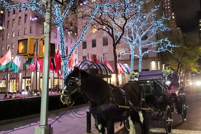 New York City Christmas Lights Private Horse Carriage Ride - Rockefeller Christmas Tree views: when it’s lit and how to time your expectations