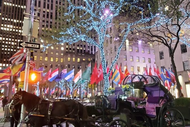 New York City Christmas Lights Private Horse Carriage Ride - Price and value: why $220 might feel steep, and when it actually works