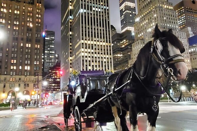 New York City Christmas Lights Private Horse Carriage Ride - Who should book this carriage ride, and who should skip it