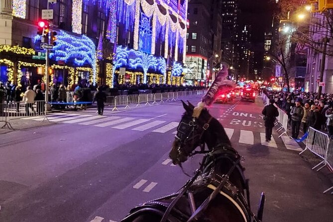 New York City Christmas Lights Private Horse Carriage Ride - Should you book this NYC Christmas Lights Private Horse Carriage Ride?