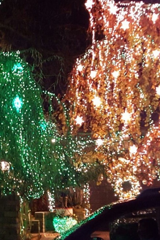 New York City: Dyker Heights Christmas Lights Tour - Price and value: why $46 can be a smart holiday spend