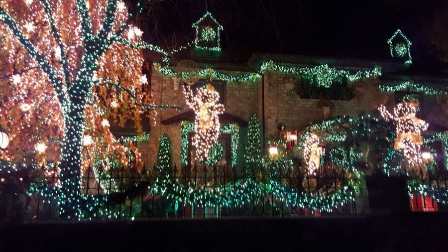 New York City: Dyker Heights Christmas Lights Tour - Brooklyn Bridge viewpoints and skyline photo time