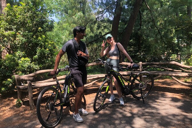New York City E Bike Rentals - Downtown and the Brooklyn Bridge: extending your range without exhausting yourself