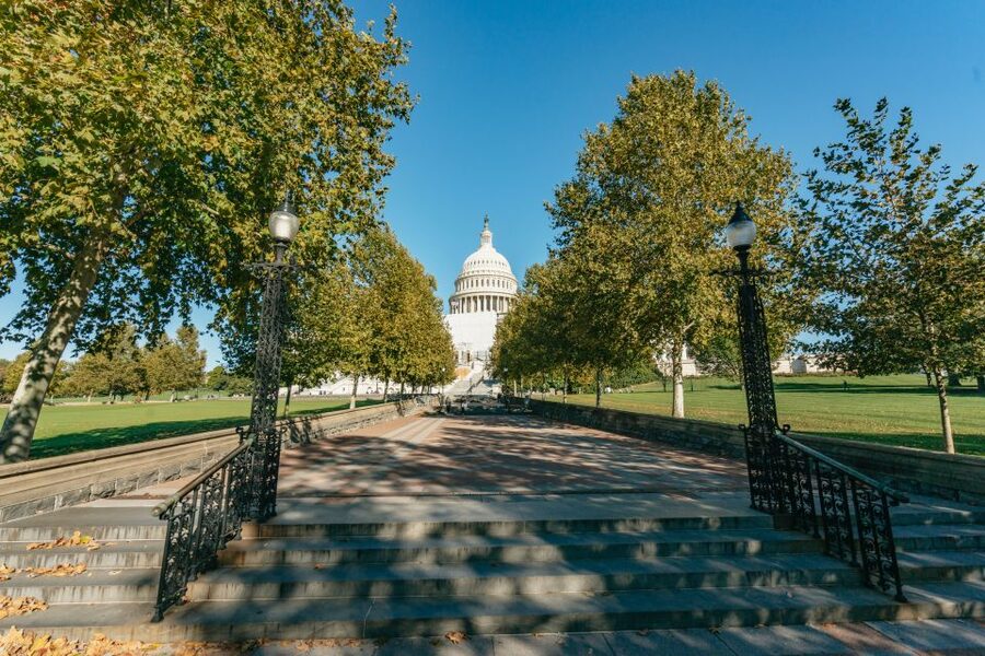 New York City: Full-Day Washington DC City Highlights Tour - Price and value at $149: what you are really paying for