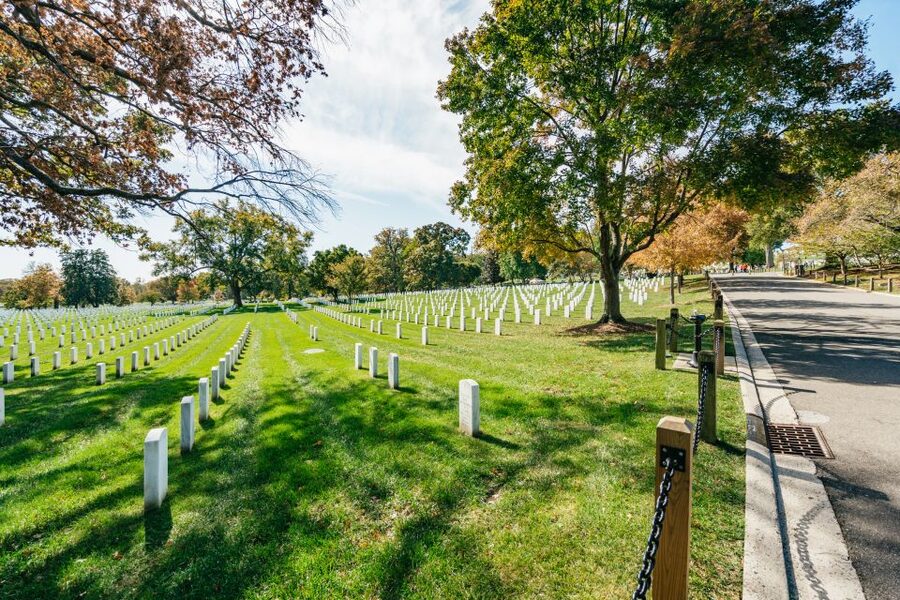 New York City: Full-Day Washington DC City Highlights Tour - Lincoln Memorial plus Korean and Vietnam War Memorials for a calmer pace