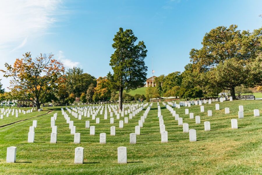 New York City: Full-Day Washington DC City Highlights Tour - Guide energy and efficiency, from Carlo to Brian
