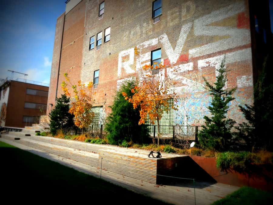 New York City: High Line Walking Tour - The sky-high botanical garden: 225+ plant species in 75 minutes