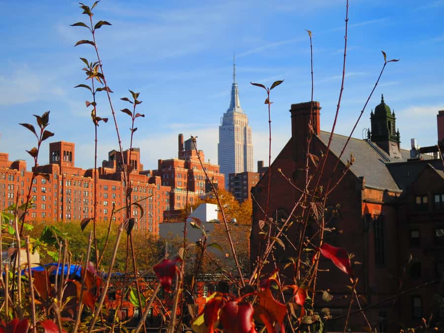 New York City: High Line Walking Tour - What it feels like walking with a small group of 8