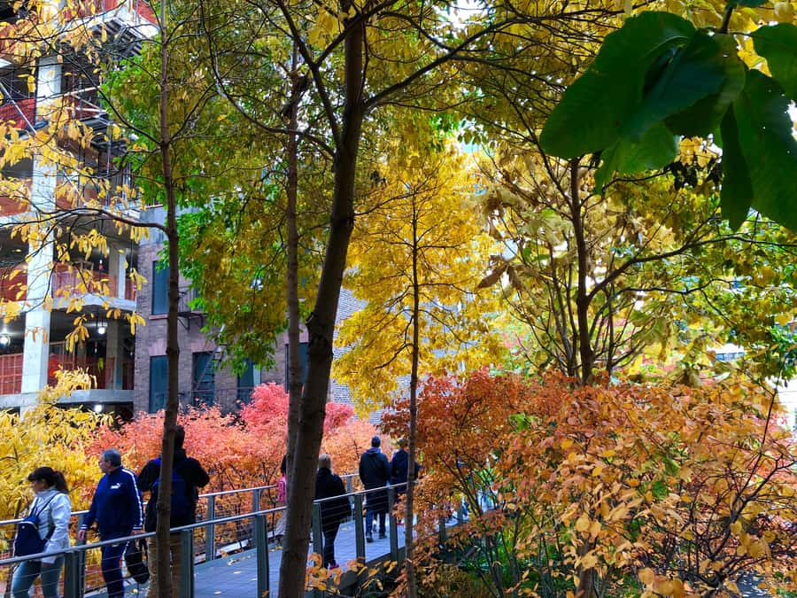 New York City: High Line Walking Tour - Who this High Line tour is best for, and who might prefer a different approach
