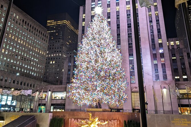 New York City Holiday Lights Tour - Key things that make this tour worth your evening