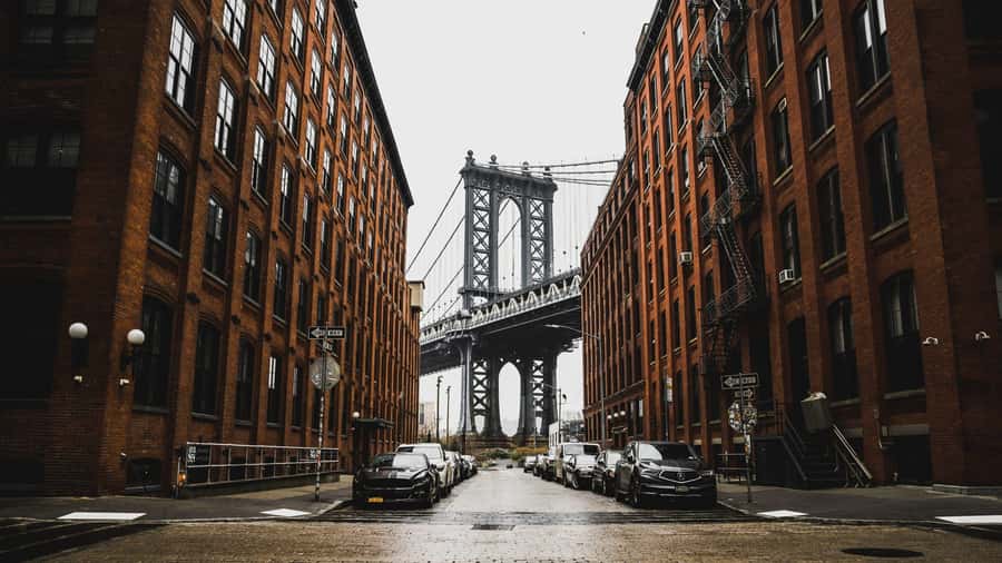 New York City: Multicultural Contrasts Tour - West Side views first, then the Bronx goes big