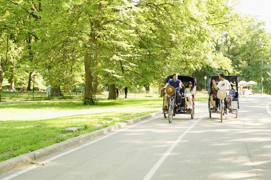 New York City: Private Central Park Pedicab Tour - Should You Book This Central Park Pedicab Tour?