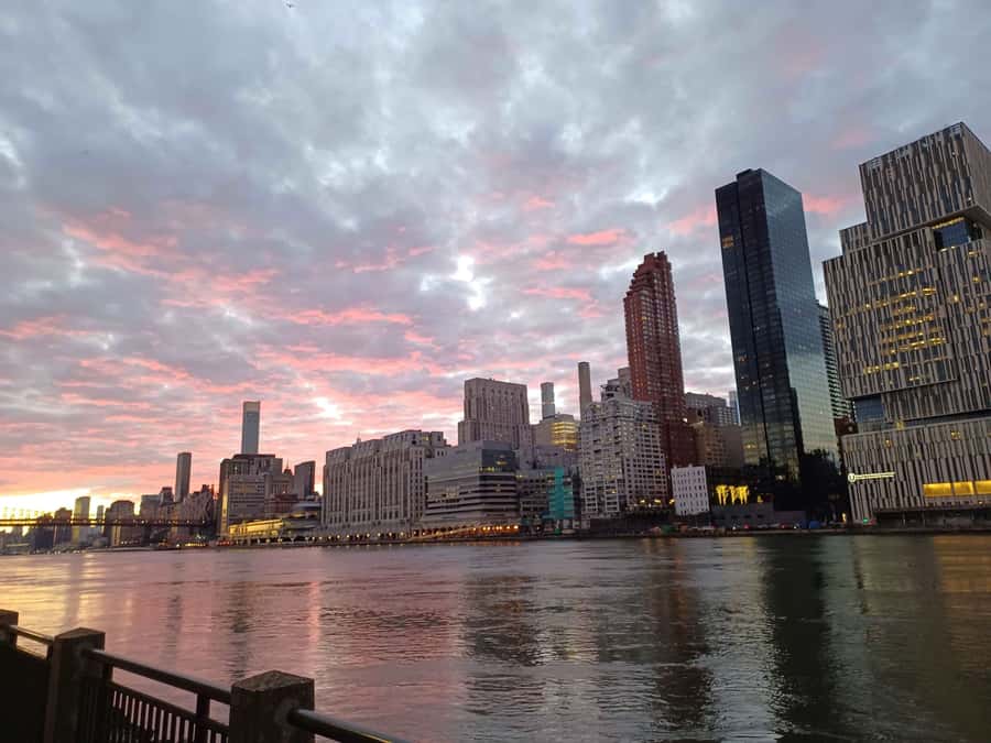 New York City: Roosevelt Island Walking Tour with Tram Ride - Price and value: $25 for the guide, plus the tram cost