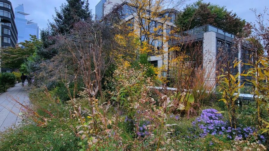 New York City: Secrets Of High Line Park Walking Tour - Meatpacking District: from industry and decay to a modern makeover