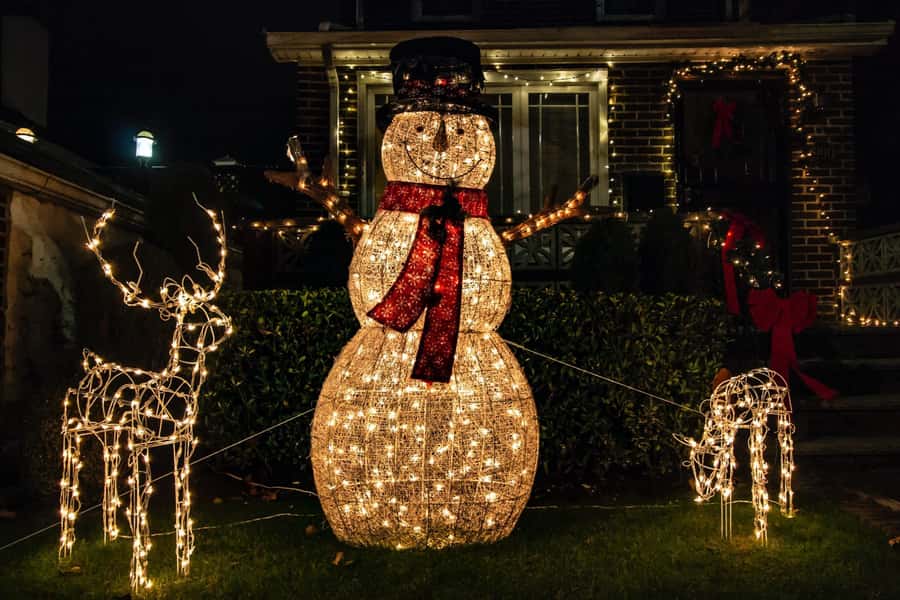 New York: Dyker Heights Christmas Lights Guided Tour - What the Live Guide Adds (and When It Might Be Thin)