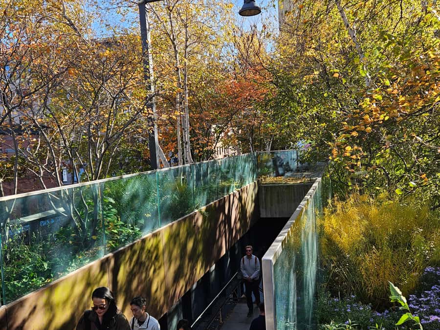 New York: High Line, Chelsea Market, and Vessel Guided Tour - Starting Outside the Whitney, Then Pointing You West