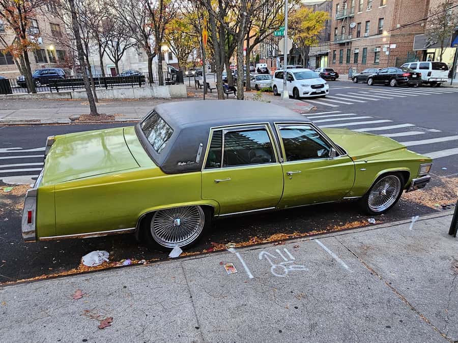 New York: Hip-Hop, Murals, Sports, and Dangerous Neighborhoods Tour - Harlem and Film Context: Spike Lee, Bookstores, and Media Places