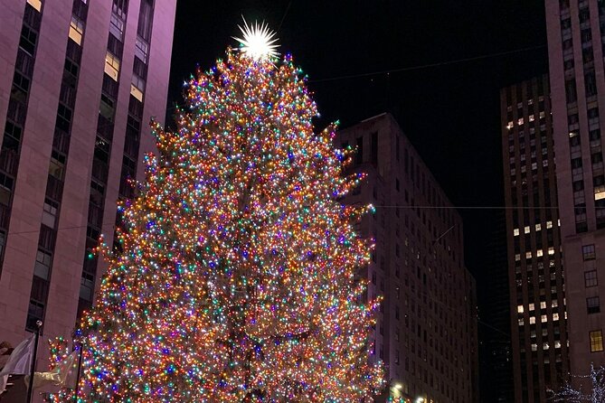 New York Holiday Lights and Sights Walking Tour - Key Highlights Worth Your Time