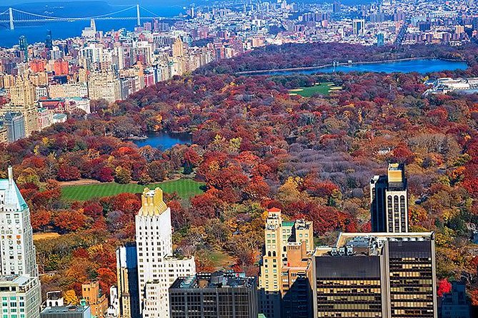 New York Tour by Subway and Bus with Private Guide - Price value: $499 per group, not per person